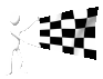 checkered_mc.gif
