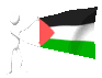 palestine_mc.gif
