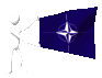 nato_mc.gif
