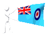 royal_air_force_mc.gif