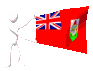 bermuda_mc.gif