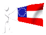usstarsandbars_13star_mc.gif