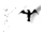 raven_sc.gif