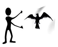 raven_hr.jpg