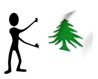 pine_tree_historical_hr.jpg