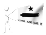 gonzales_banner_1835_mc.gif