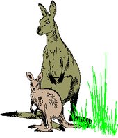 KANGAROC.WMF