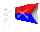 custers_guidon_sc.gif