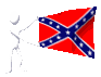 confederate_navaljack_mc.gif