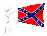 confederate_minone_mc.gif