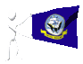 navy_mc.gif