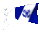 coast_gaurd_aux_sc.gif