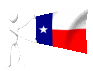 texas_mc.gif