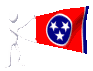 tennessee_mc.gif