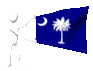 south_carolina_mc.gif