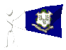 connecticut_mc.gif