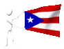 west_puerto_rico_mc.gif