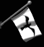 raven_lb.gif