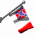 national_flag_of_conf_a_sw.gif
