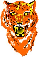 TIGER10.WMF