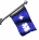 coast_gaurd_rear_admi_a_sw.gif