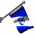 coast_gaurd_auxflag_sw.gif