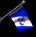 coast_gaurd_auxflag_sb.gif