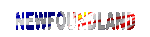newfoundland_mc.gif