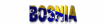 bosnia_sw.gif