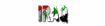iraq_sw.gif