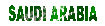 saudi_arabia_sc.gif
