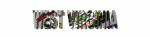 west_virginia_mw.gif