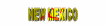 new_mexico_sw.gif