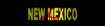 new_mexico_sb.gif