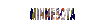 minnesota_sc.gif