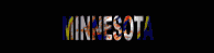 minnesota_lb.gif
