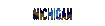 michigan_sc.gif
