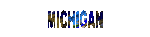 michigan_mc.gif