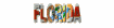 florida_sw.gif