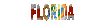 florida_sc.gif