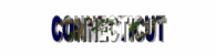 connecticut_lw.gif