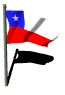 chile_fw_lw.gif