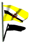 brunei_fw_lw.gif