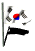 korea_south_fw_sw.gif