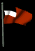 georgia_fw_sb.gif