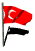 turkey_fw_sw.gif