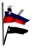 slovenia_fw_mw.gif