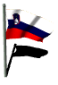 slovenia_fw_lw.gif