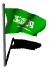 saudi_arabia_fw_mw.gif