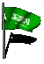 saudi_arabia_fw_mc.gif
